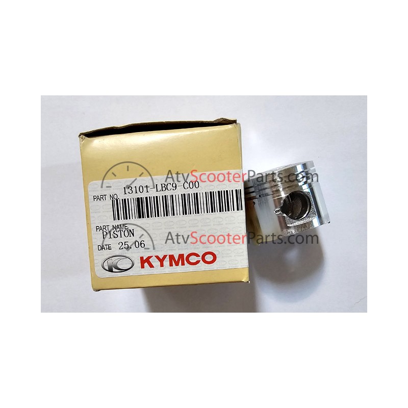 PISTON - 13101-LBC9-C00