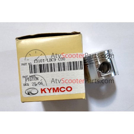 PISTON - 13101-LBC9-C00
